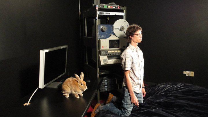 Adele: the agility rabbit