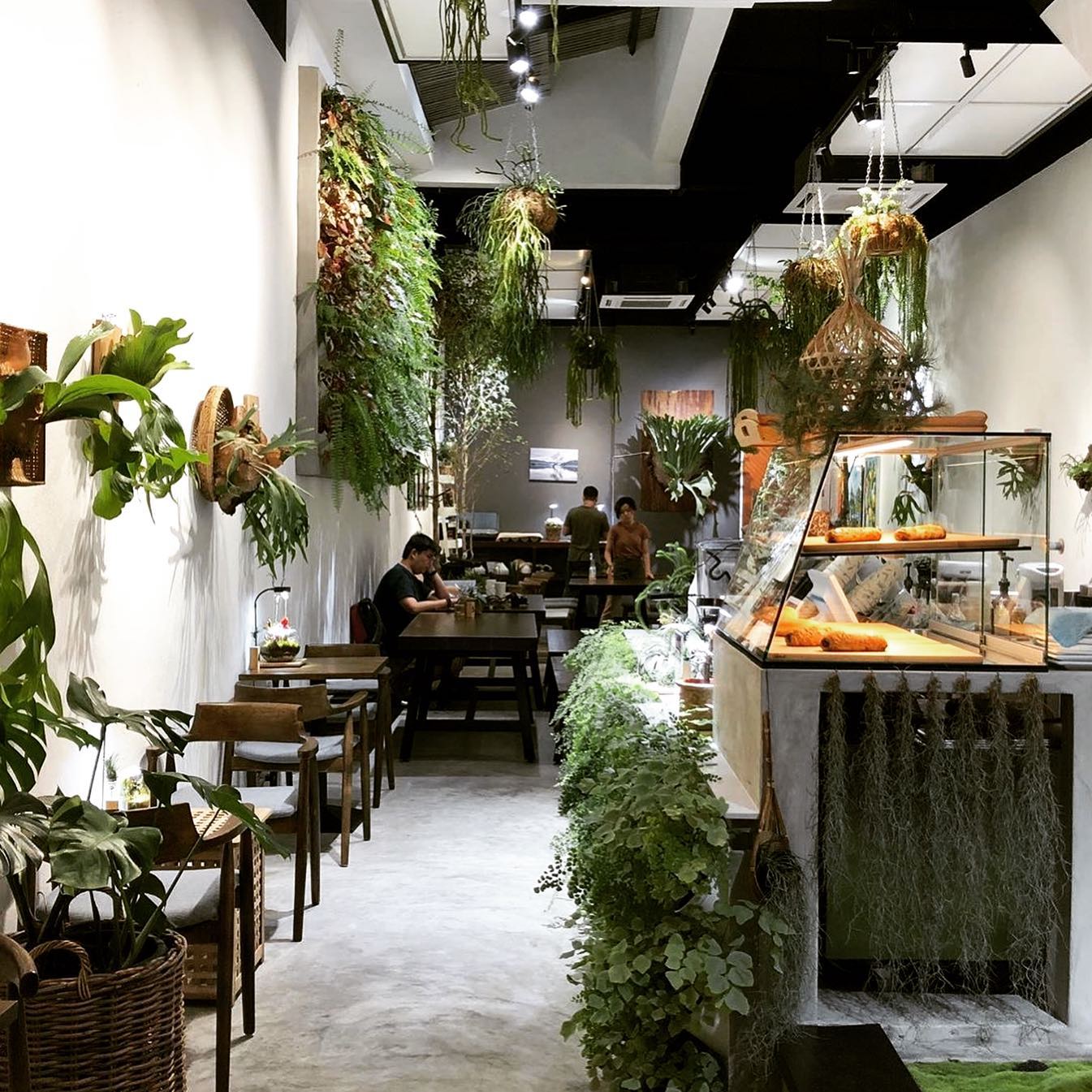 Bryantakiyew Urban Green Cabin Terrarium Enthusiast Facebook
