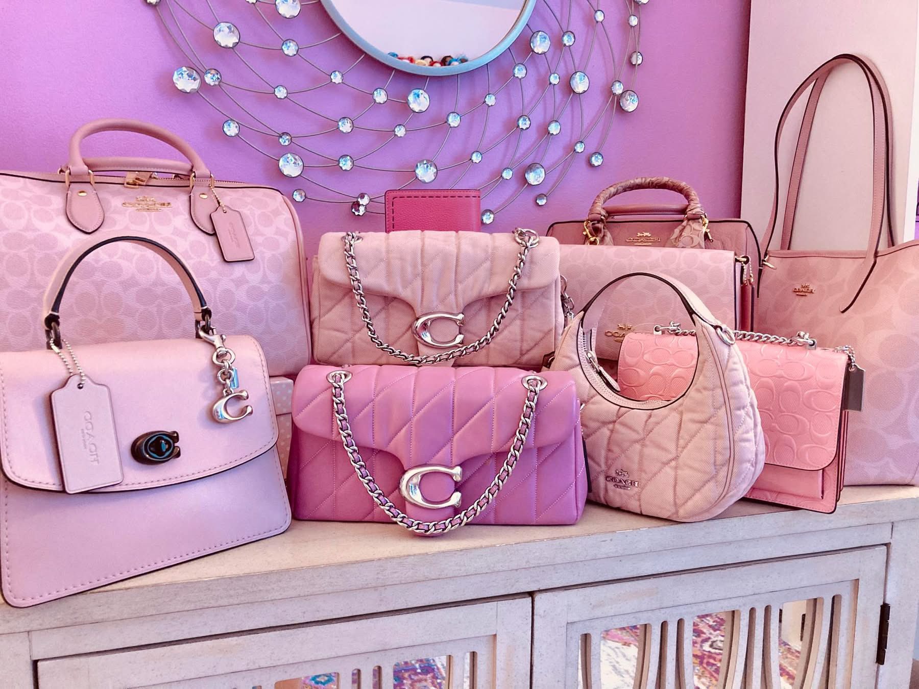 Pink coach bags collection COACH Poppy accessory porch pink bag