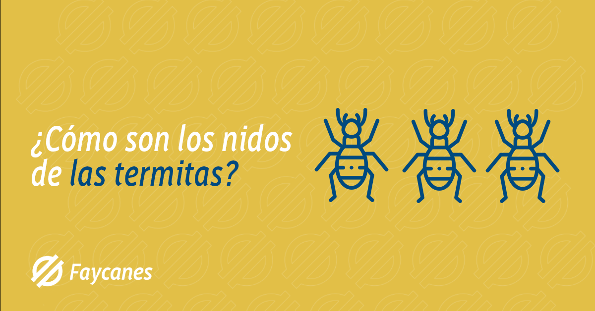 Faycanes, - Los nidos de termitas, también conocidos como termiteros ...