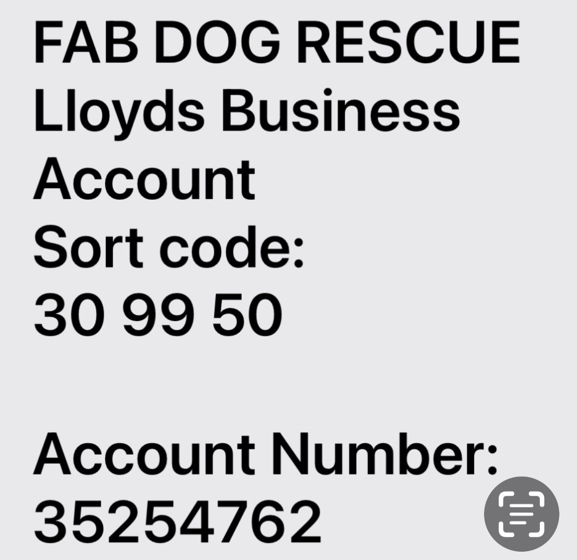 Frances Adores Bullbreeds (F.A.B) | ALL GONE ALL NUMBERS ALLOCATED 🤓 ...