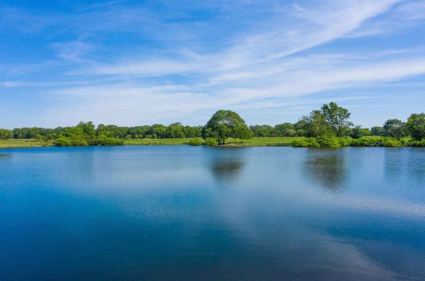 Shipley Ranches | Austin TX