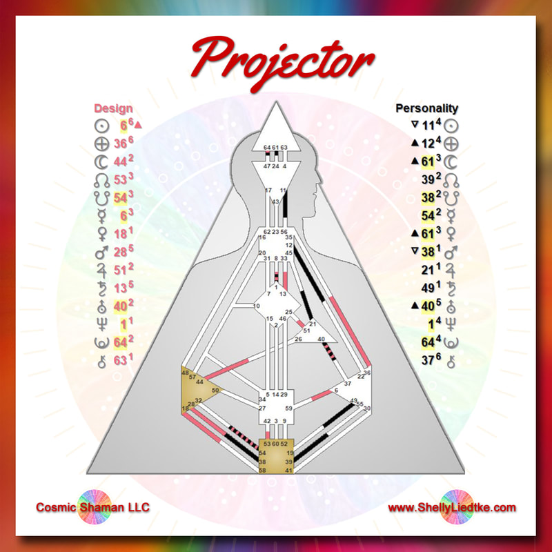NFNLP Asean - Human Design System - Project. What type... | Facebook