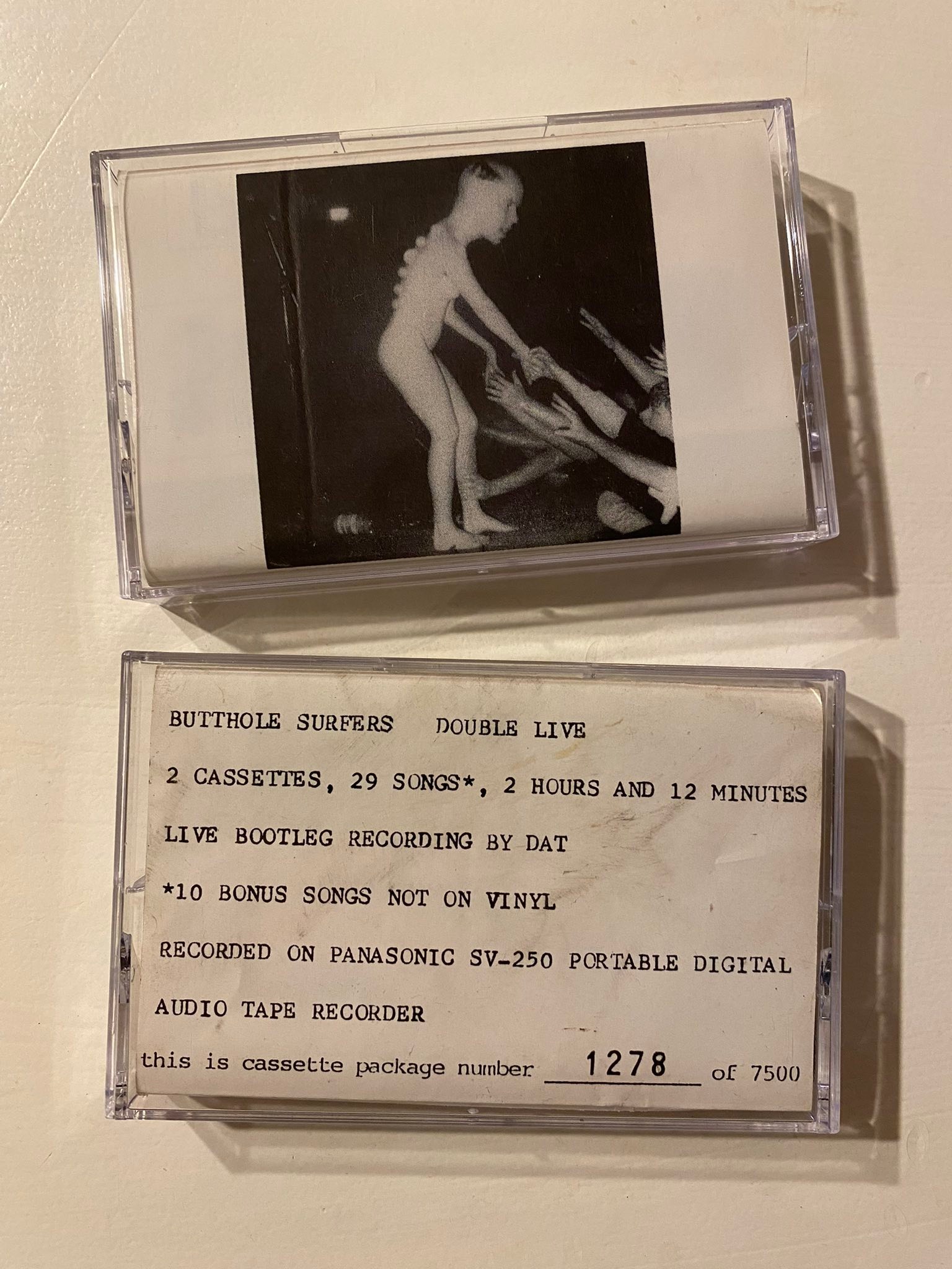 Butthole Surfers rare and obscure collection