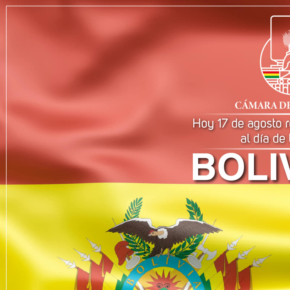 C... - Cámara de Senadores del Estado Plurinacional de Bolivia | Facebook
