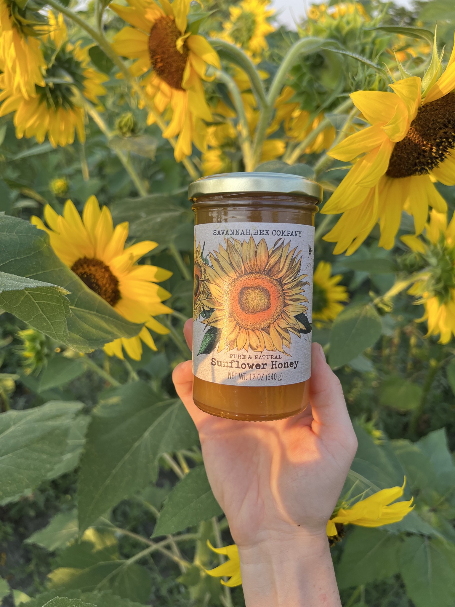 Sweet as Honey 🍯 & Gone in a Flash ☀️ Marigold Drops! Tap