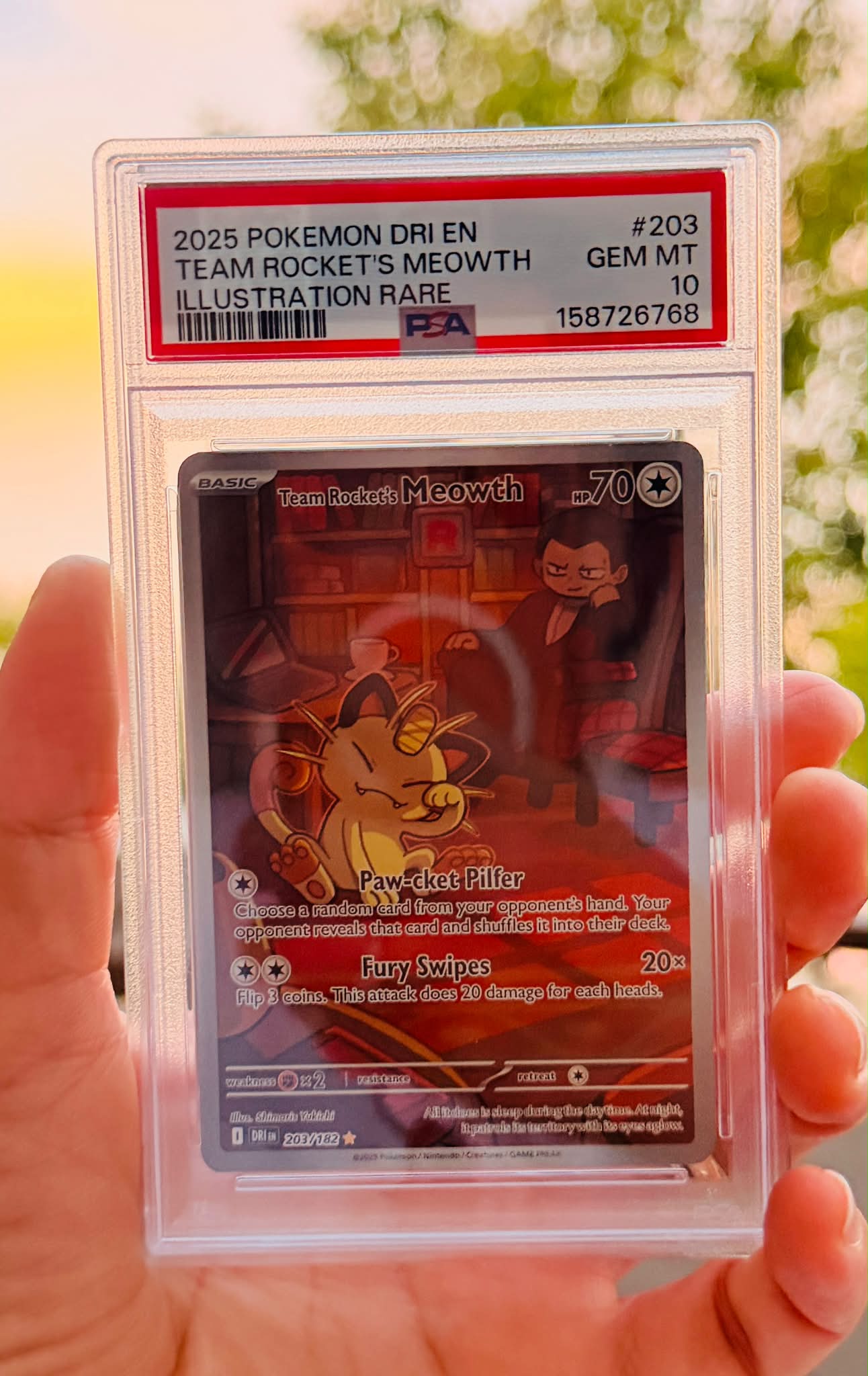 1999 meowth pokemon card value PROMO HOLO Meowth # 10 - VLP - 1999 BLACK STAR Pokemon Card Kagemaru Himeno  Art