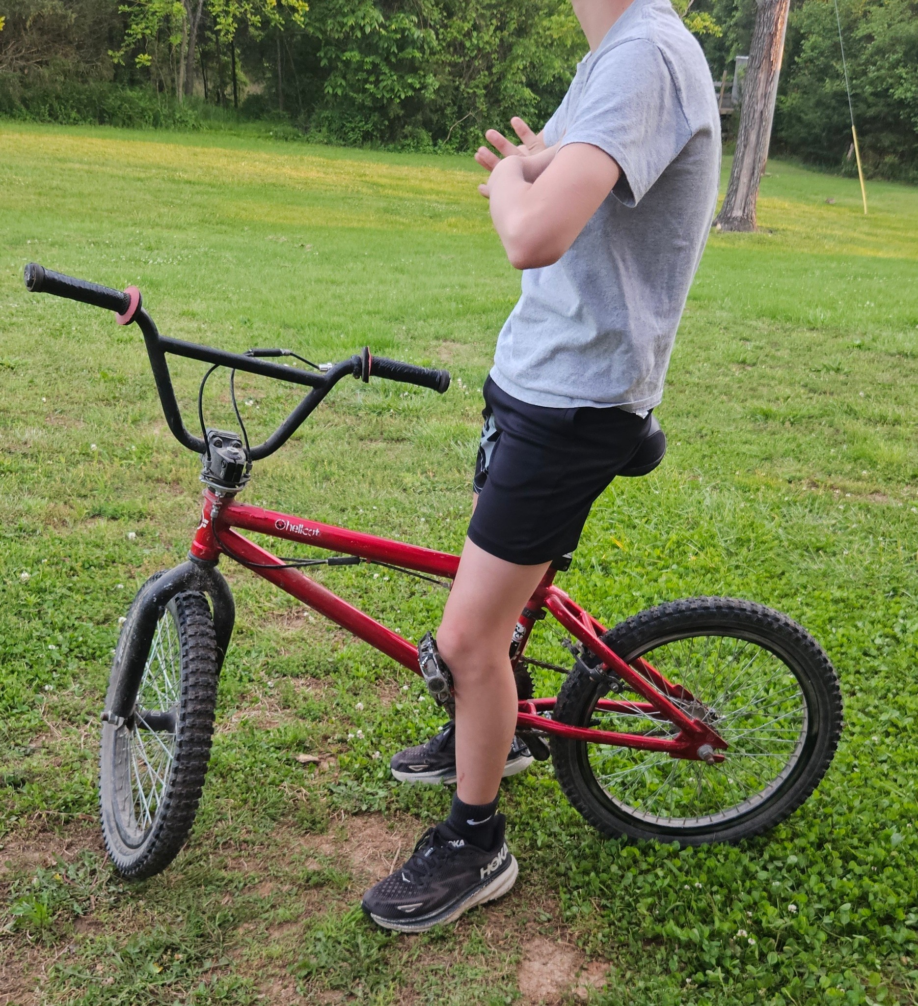 Original 2003 Free Agent Hell Cat BMX bike