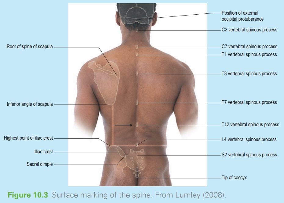Physio4home - Nature of cervical injury in sport One of the most common ...