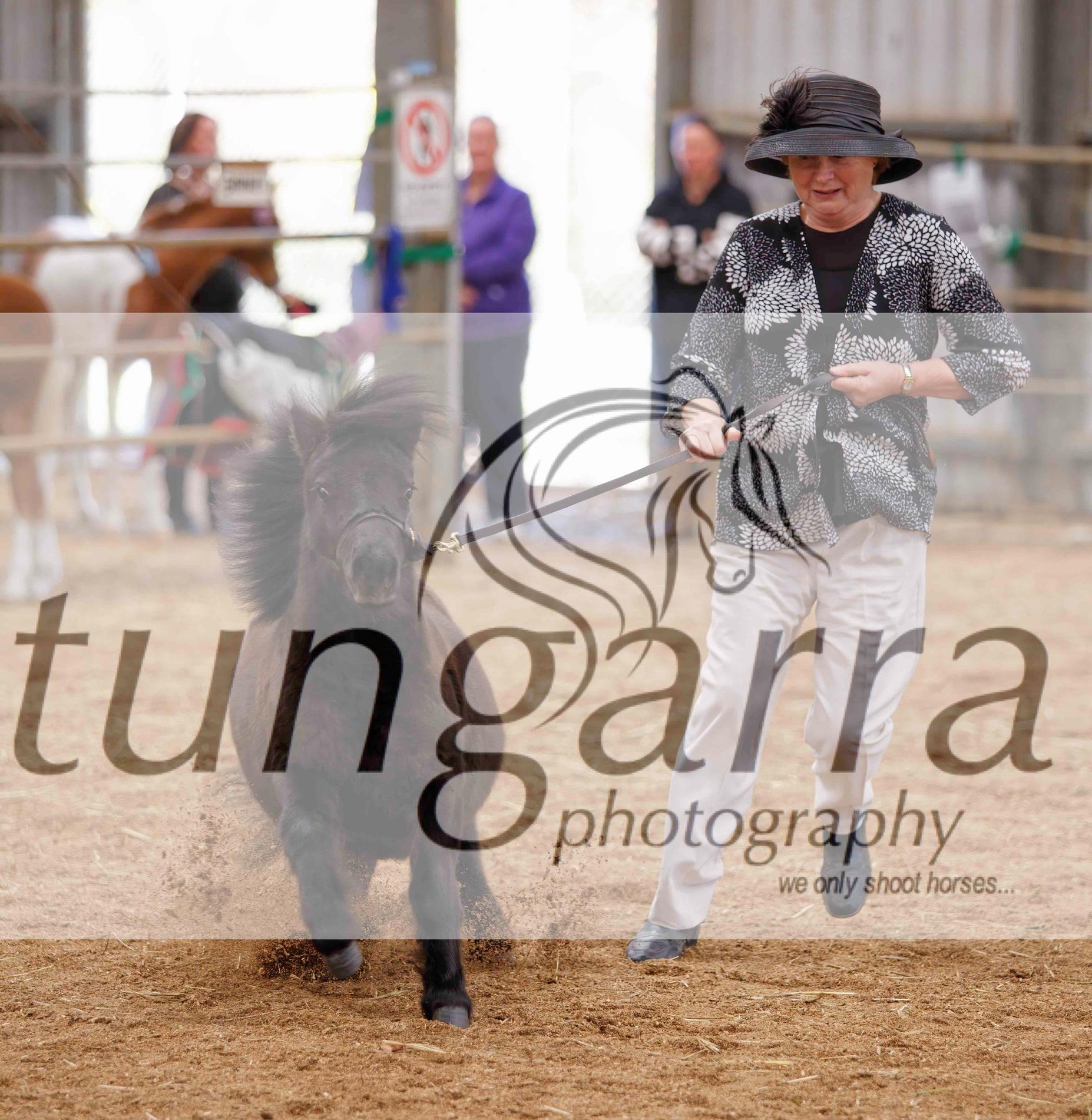 Tungarra Stud & Photography
