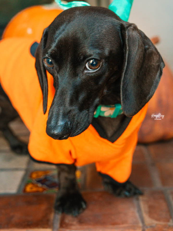 Zoey is the very image of a rain goddess, graceful and ethereal