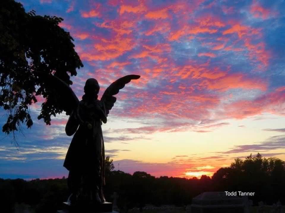 Upstate New York In Pictures | And in my hour of darkness, she is ...