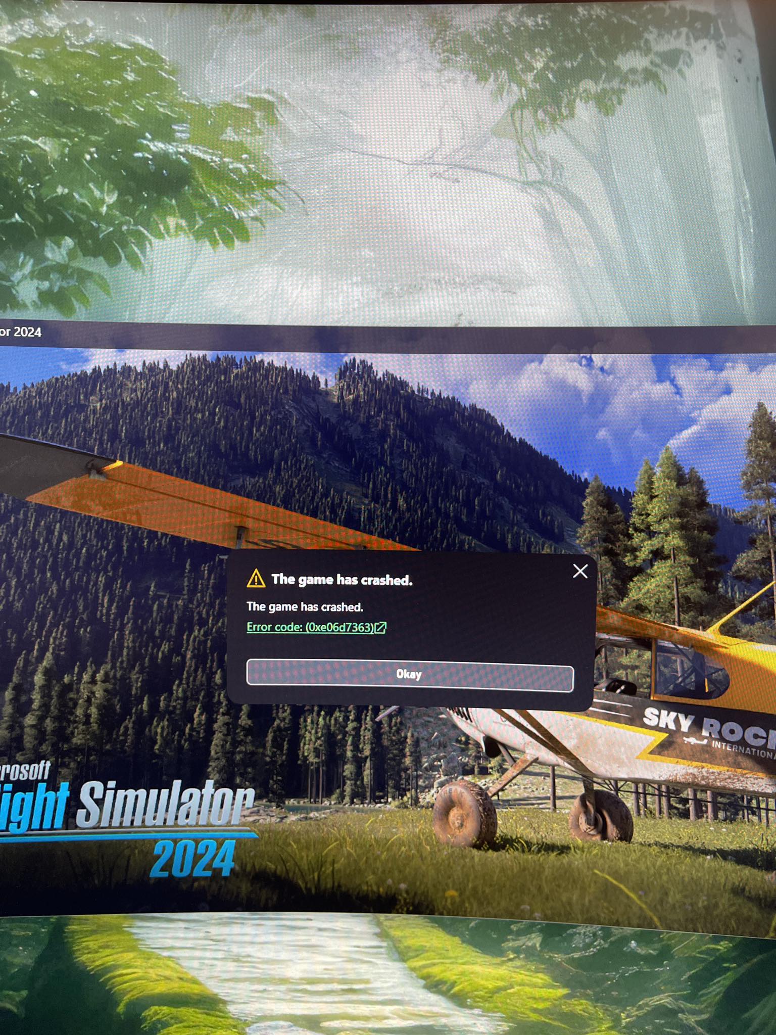 Microsoft Flight Simulator 2024 (Asobo Studio) | Any ideas guys have ...