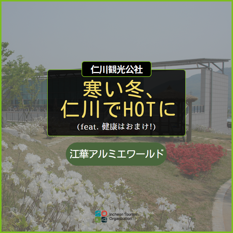 釜山で寒い冬のおすすめグルメ クムスポックッ 금수복국 のふぐスープ 韓国釜山留学サポート専門 ぷさんの家