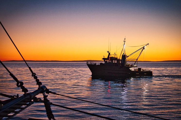 Know your... - Marine Stewardship Council in Australia & NZ