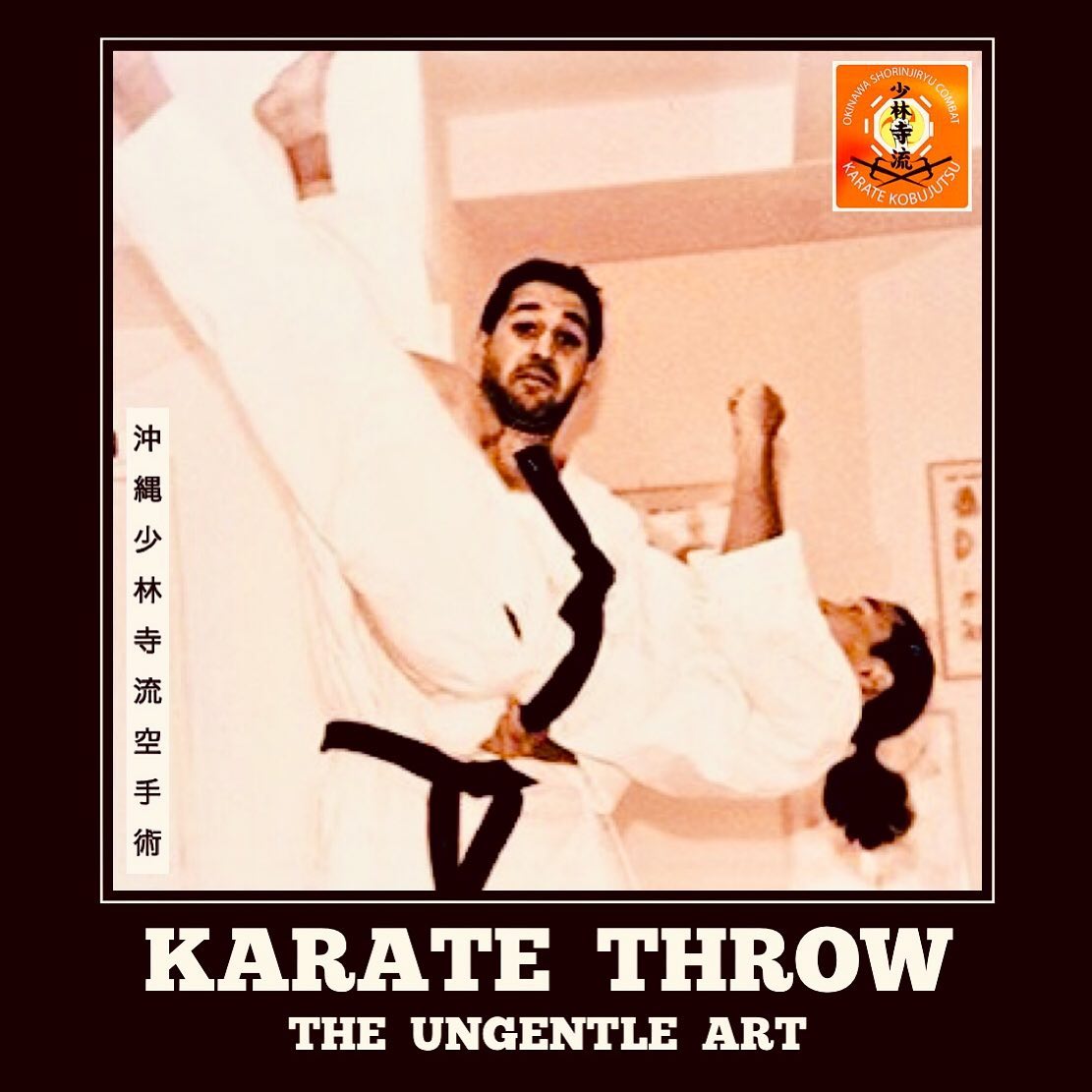 Ryūkyū Martial Arts Society - International