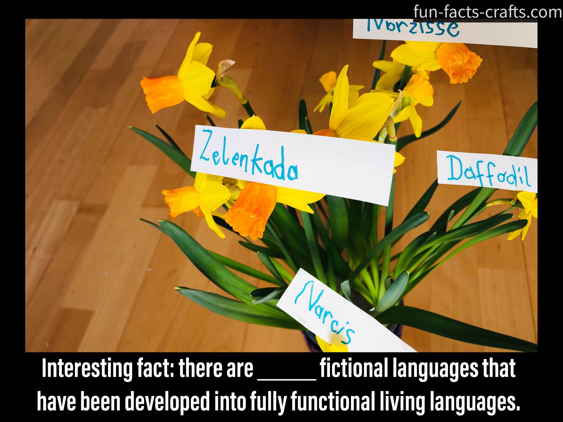 Fun, - the missing information about artificial languages and other ...