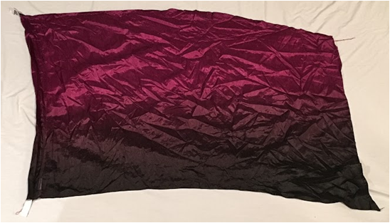 WSHS Spartan Band and Color Guard items for sale