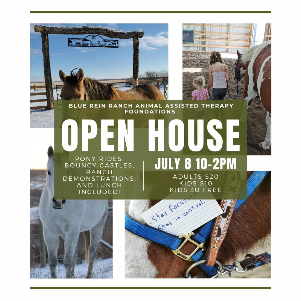 Blue Rein Ranch Animal Assisted Therapy Foundation