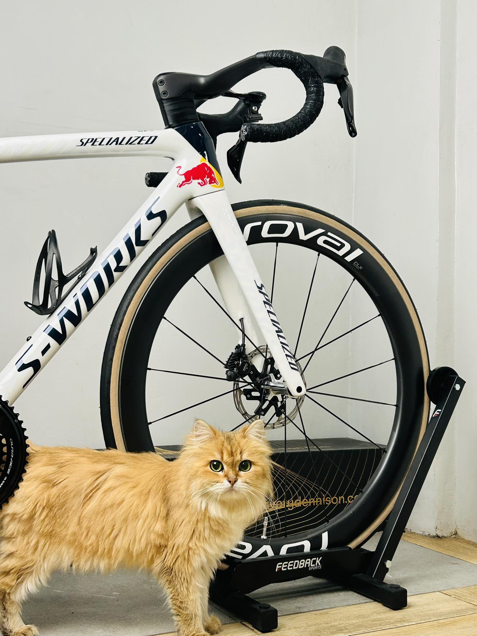 The Roval CLX III wheelset is the ideal pairing for the S-Works