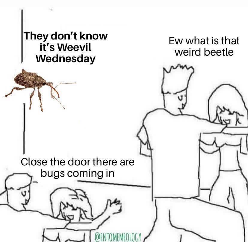 Found this in another group and just knew I absolutely HAD to share ...