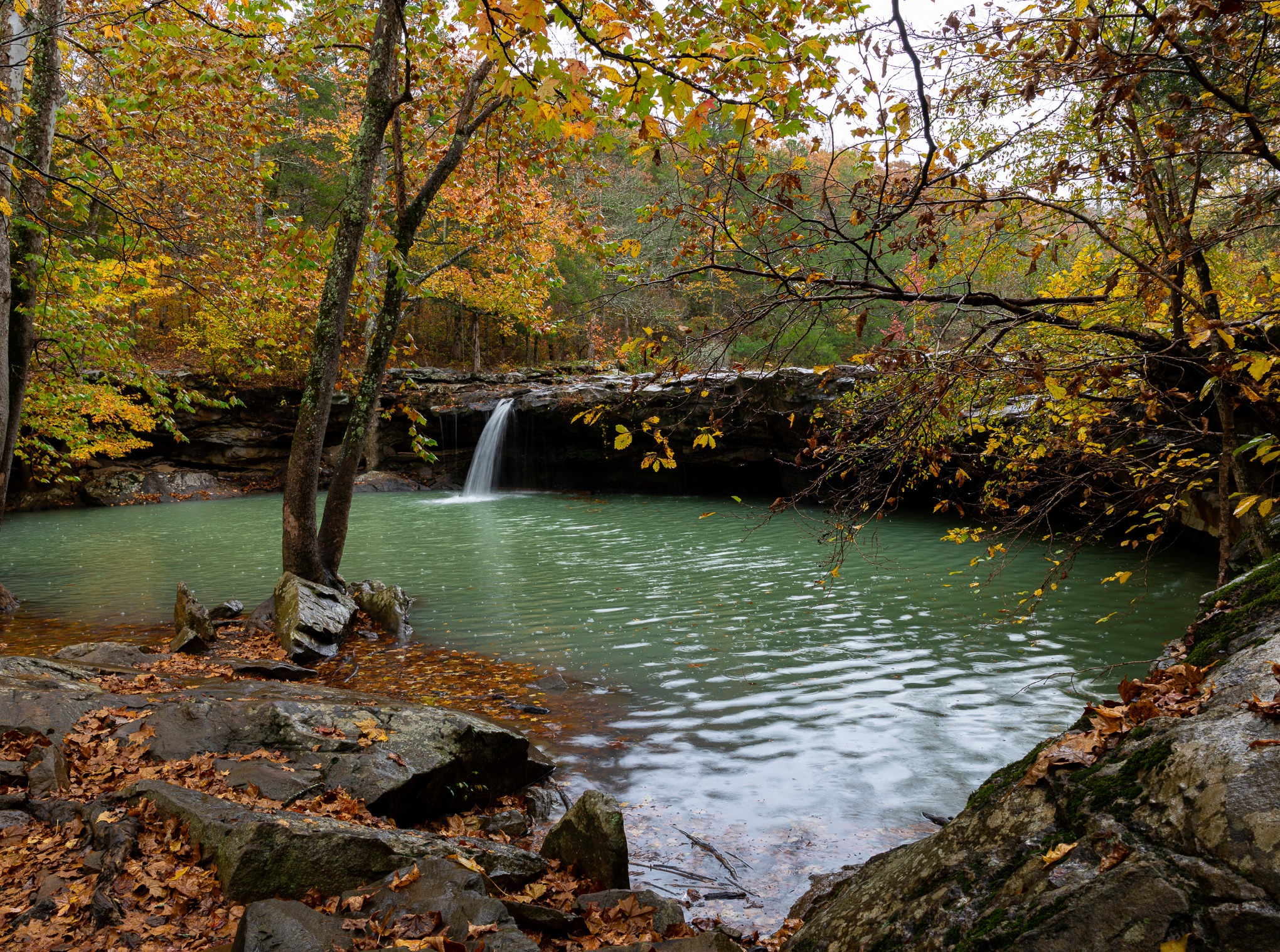 Bella Vista Life | A drive to check out the foliage at Richland creek ...
