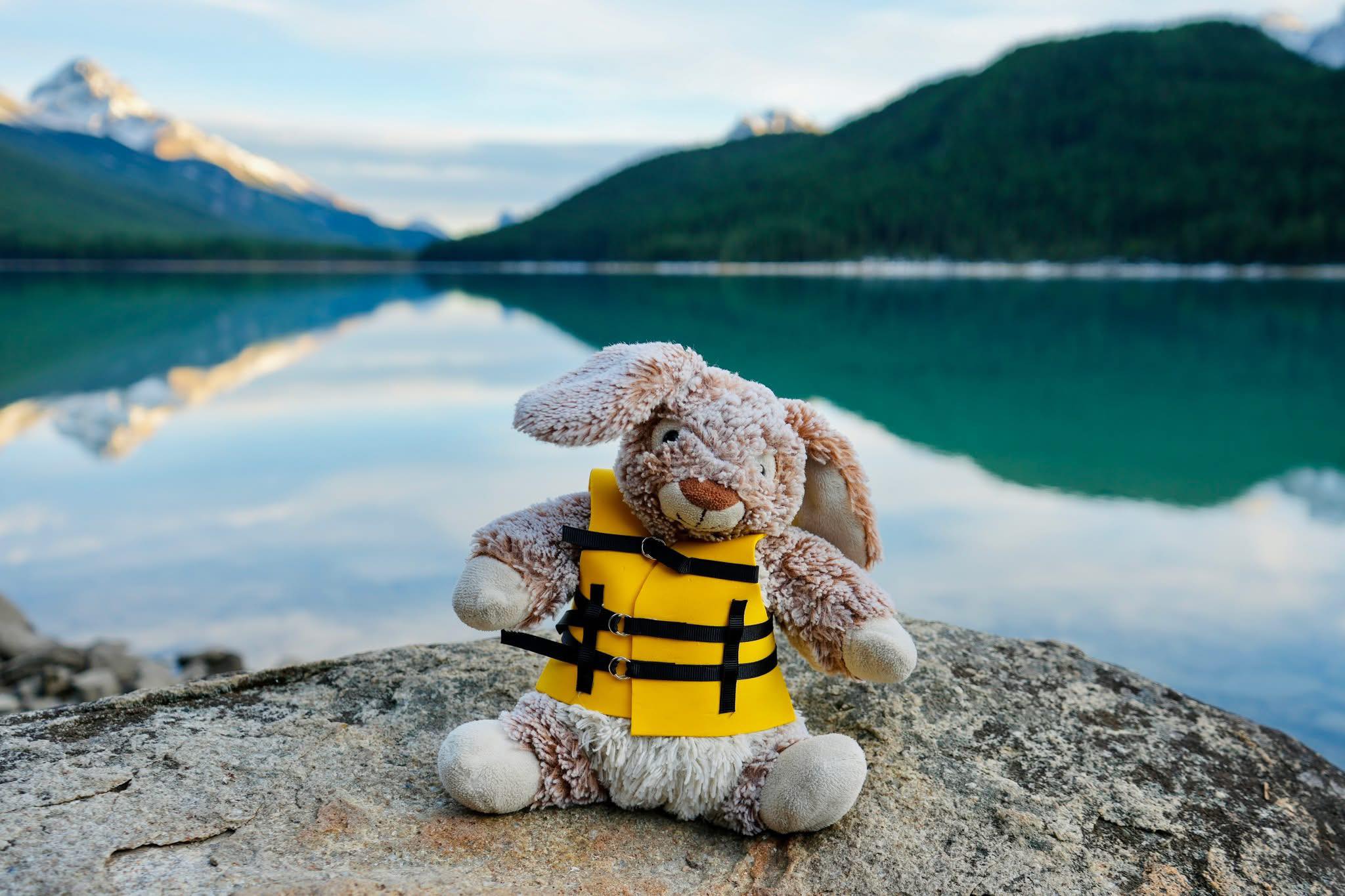 Banff National Park staff found a missing bunny