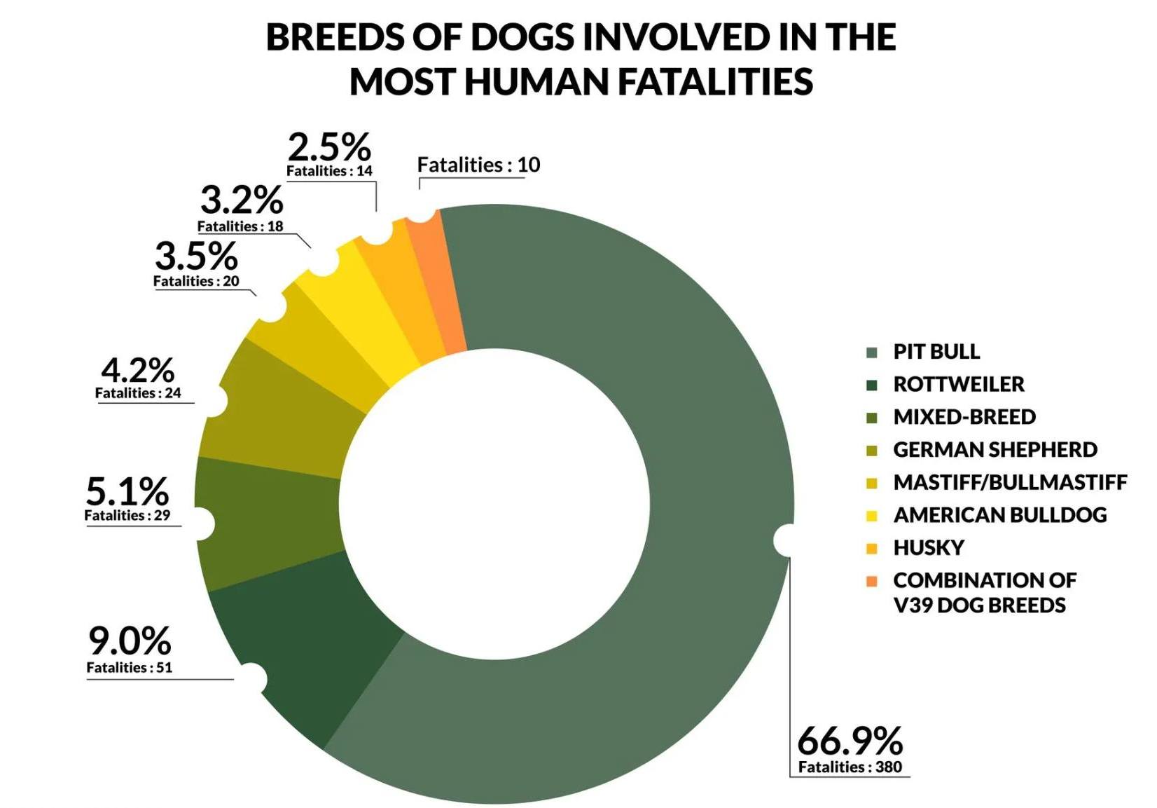 Snapshot of Dog Fatalities Fabric Consumption