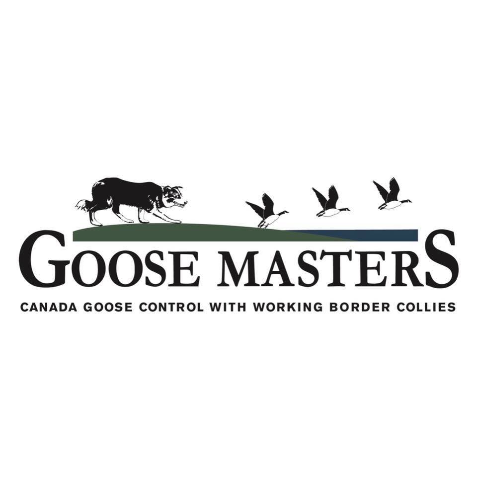 Goose Masters Triangle