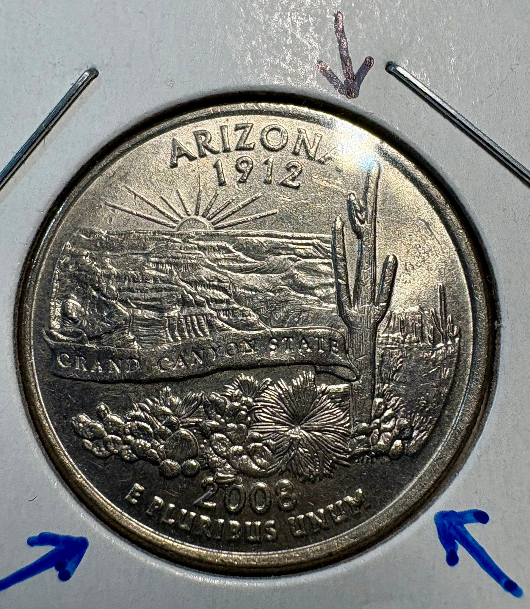 2008-P Arizona with Extra Cactus leaves 🌵 (die chips) | Facebook