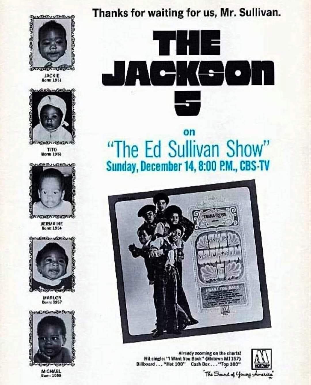 DVD Show Sullivan The 5枚セット　ジャクソン5含む Ed