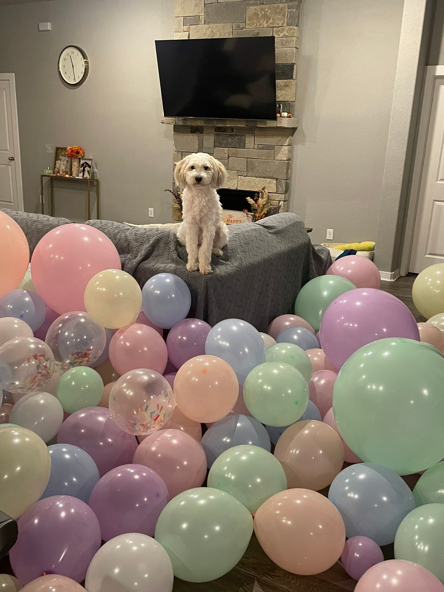 Sratte 200 Pcs Graduation 260 Long Balloons Mixed