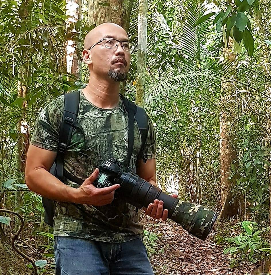 Wild Bird Club Malaysia - WBCM | I remembered when I first came across ...