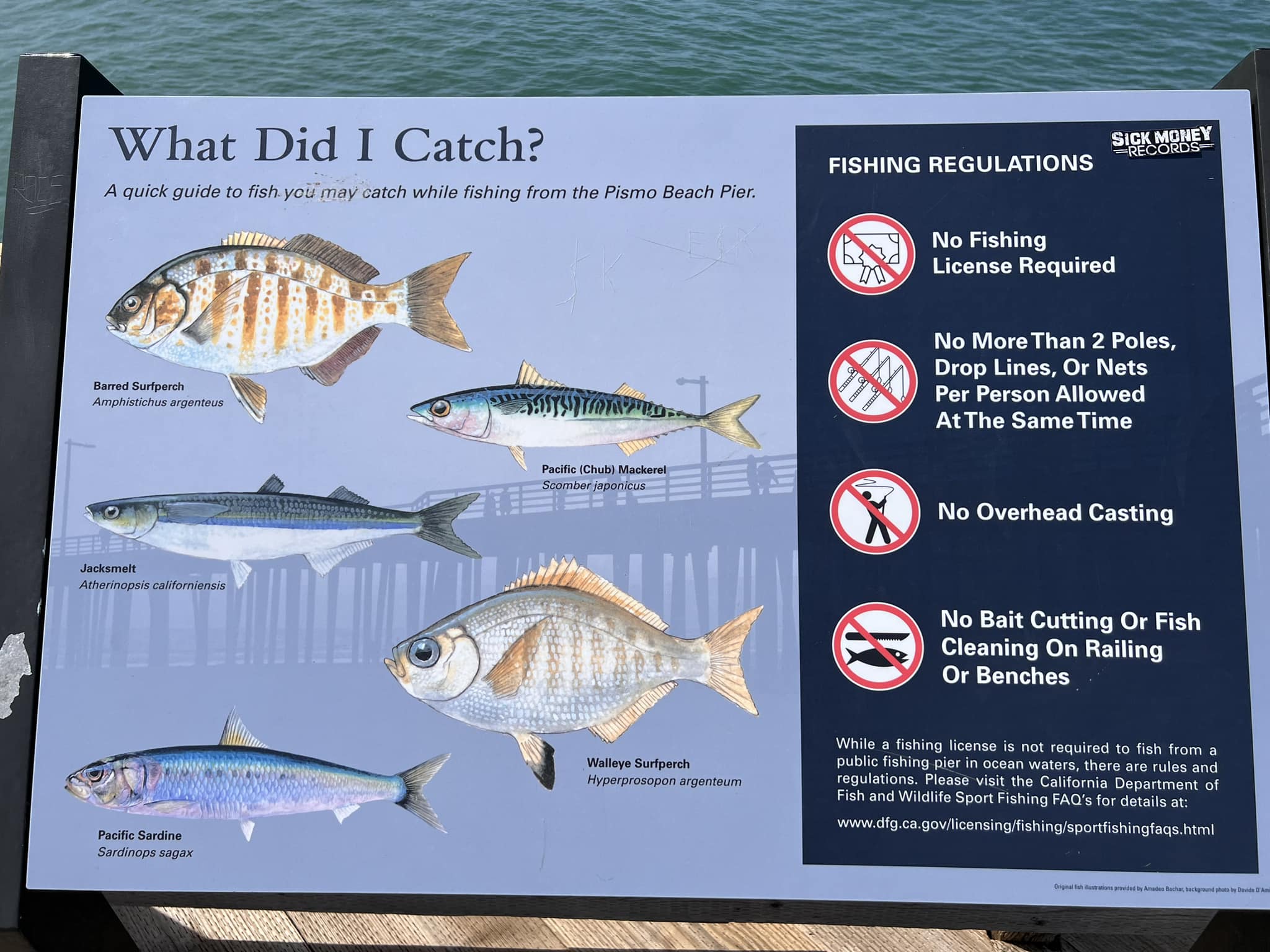 ca fish net licesense Shop for California Fishing Licenses  Pacific Edge Tackle California Hunting & Fishing Licenses