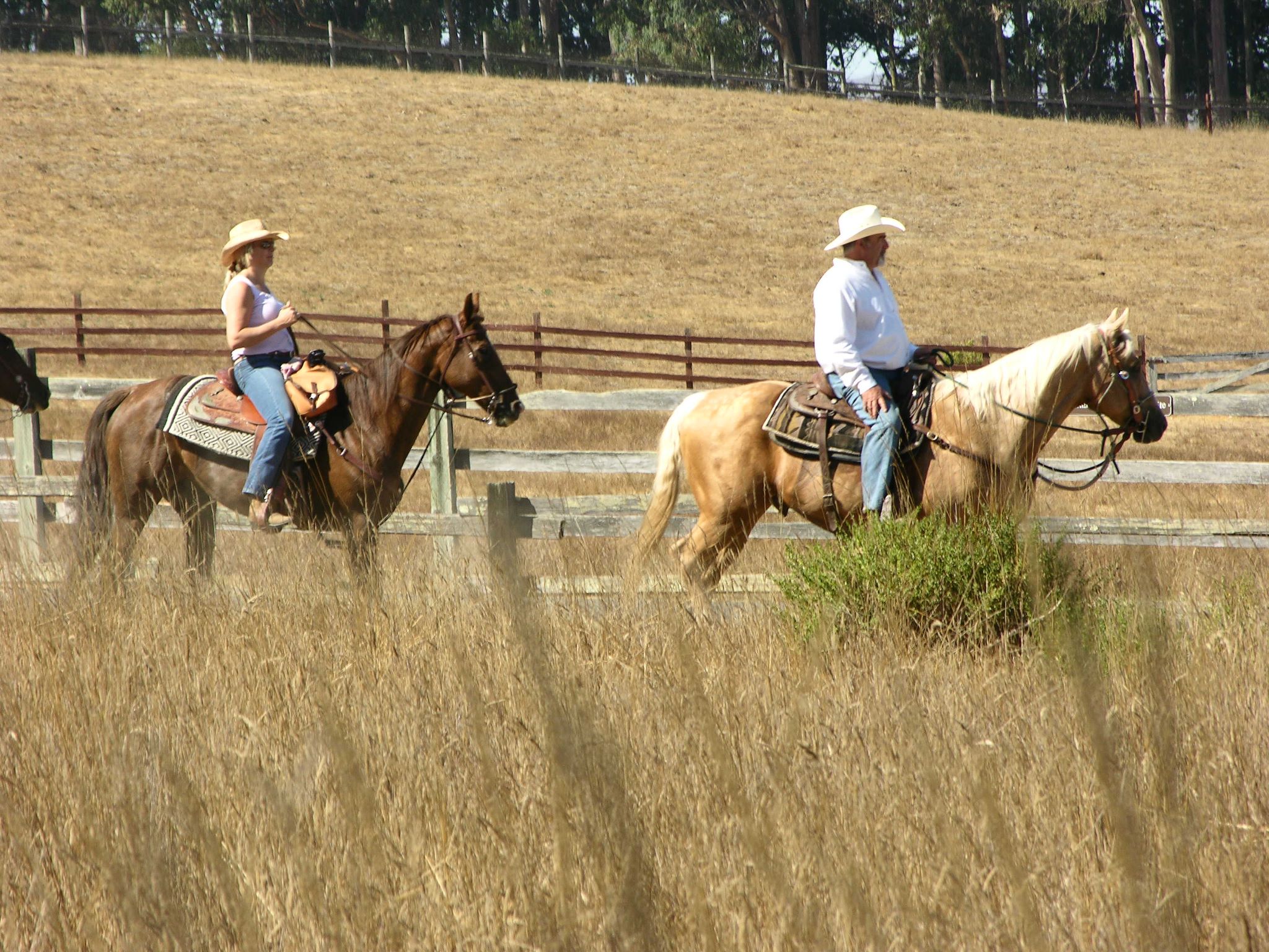 Point Reyes National Seashore - Horseback riders Note: Groundnesting ...