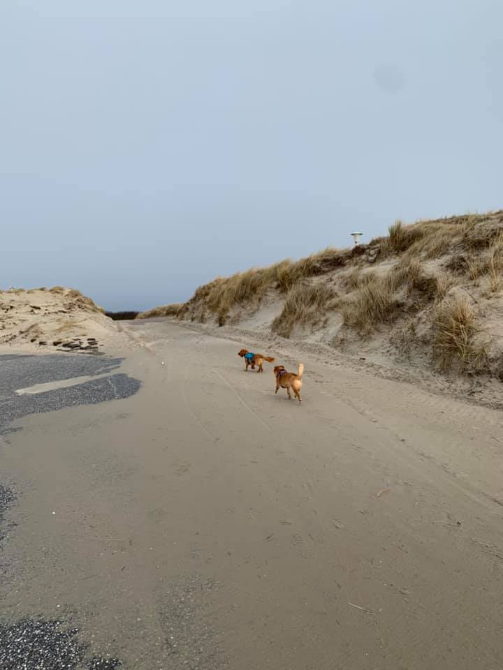 Norderney Sunnig Utsicht Home Facebook
