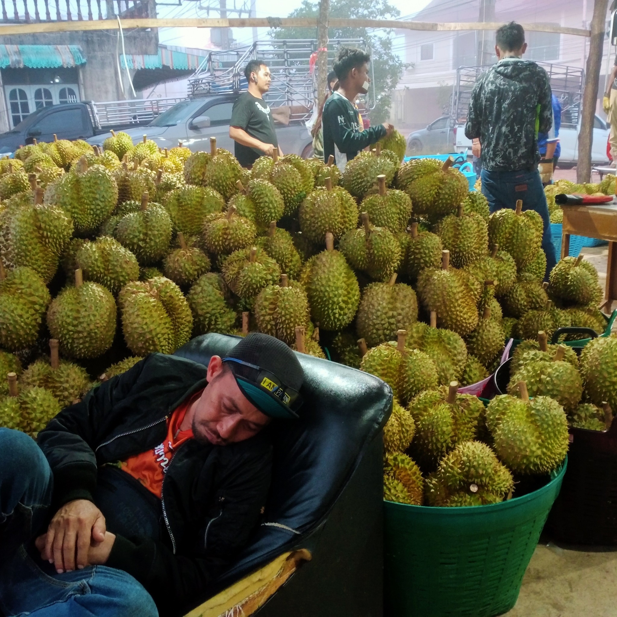 มะตอริ ตีลี