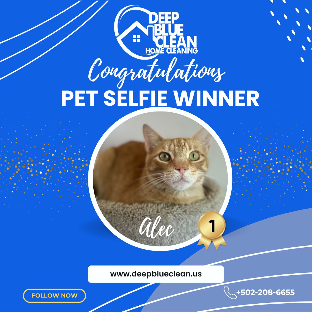Deep Blue Clean - Congratulations to Alec, our adorable...