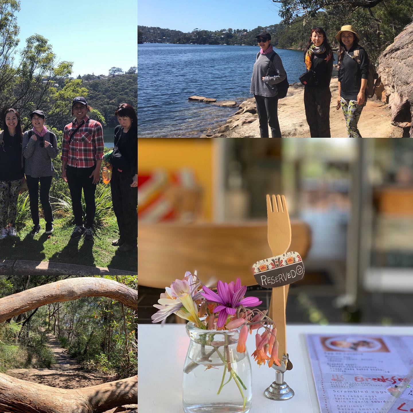 Humming Cafe | Middle Cove NSW