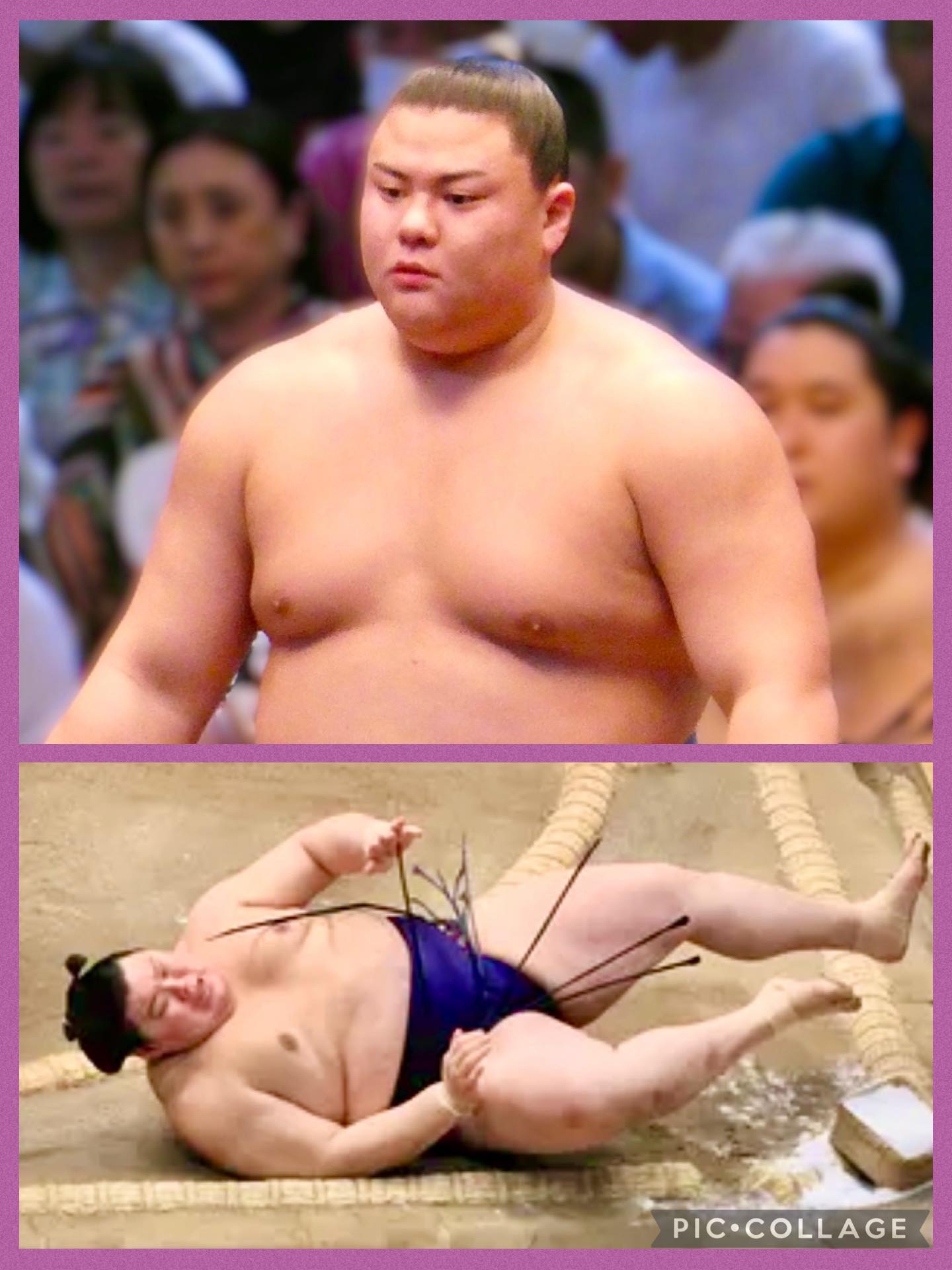 富士の真