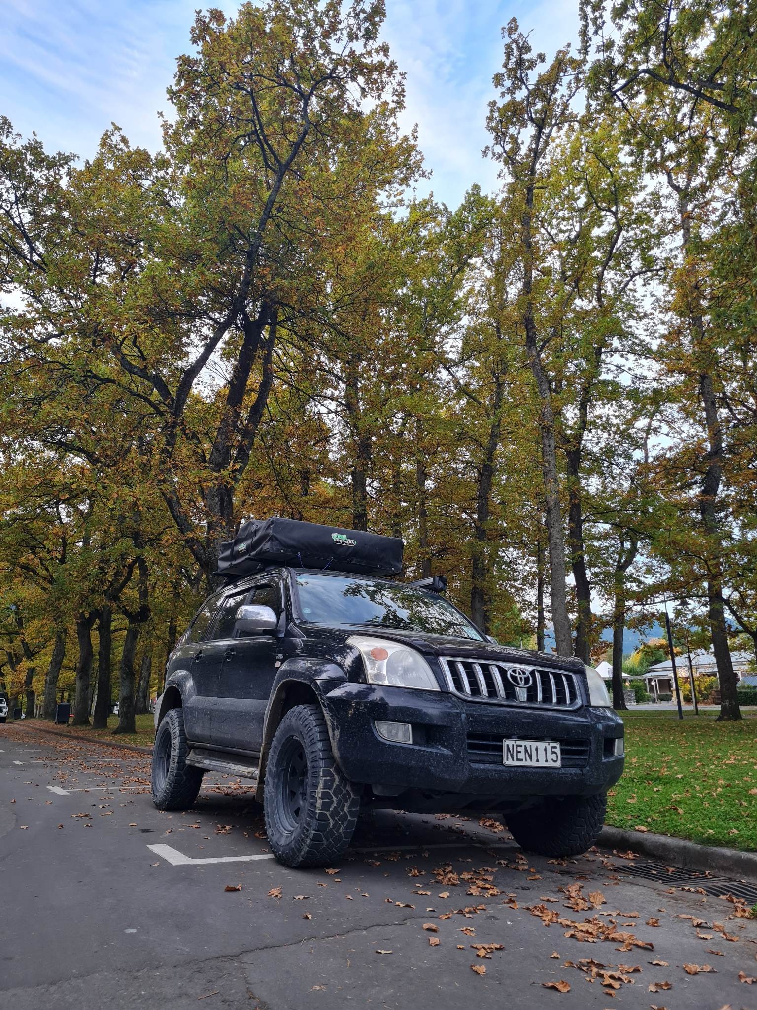 2PCS Front Hood Lift Support Gas Spring Shocks Struts for Toyota