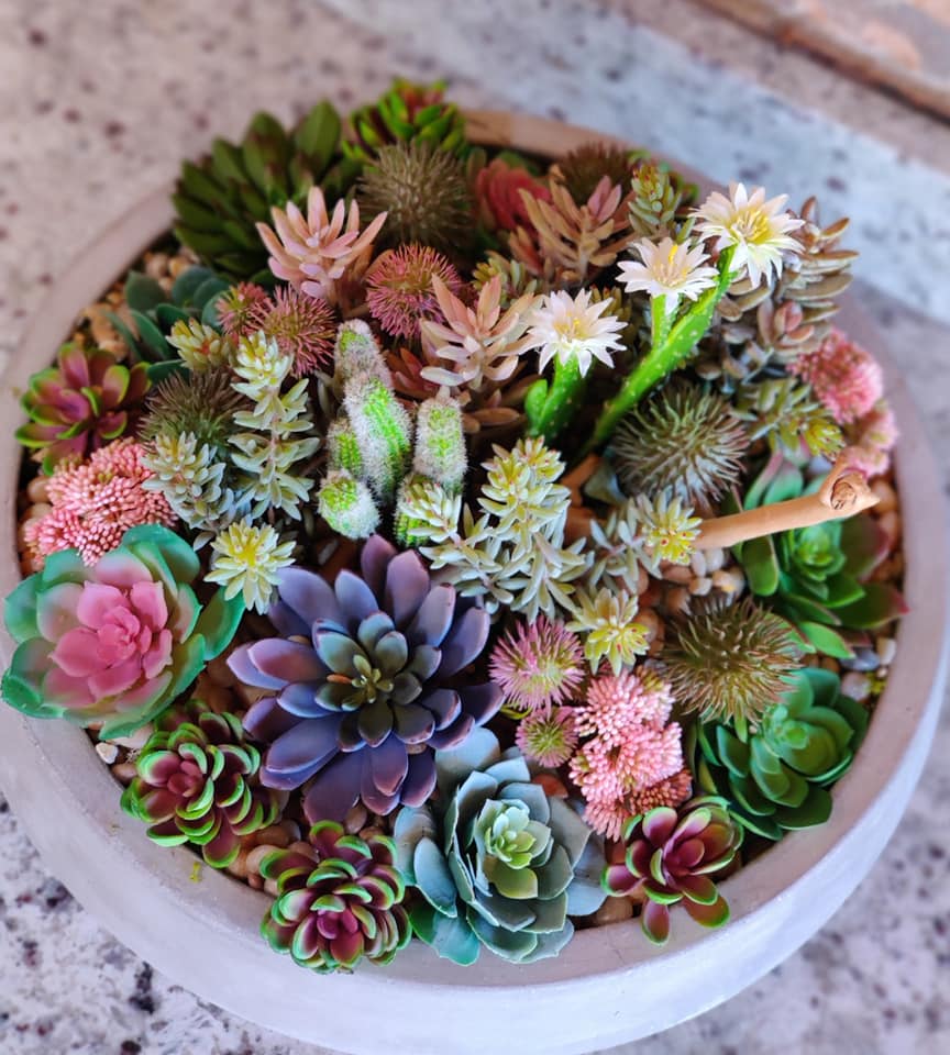 Chic Sets - I wanted to brighten up my patio and what...