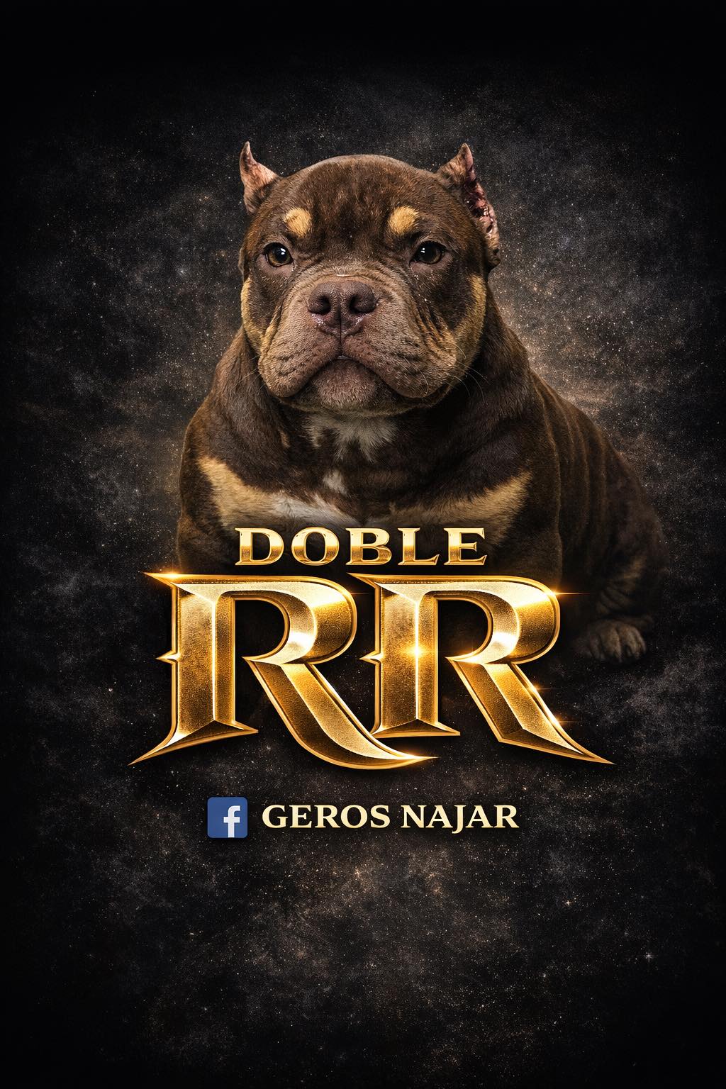 Geros - A TODA LA BANDA DEL BULLY GAME 🐜💎 LES PRECENTO A DoBle RR 🧸🧸 ...