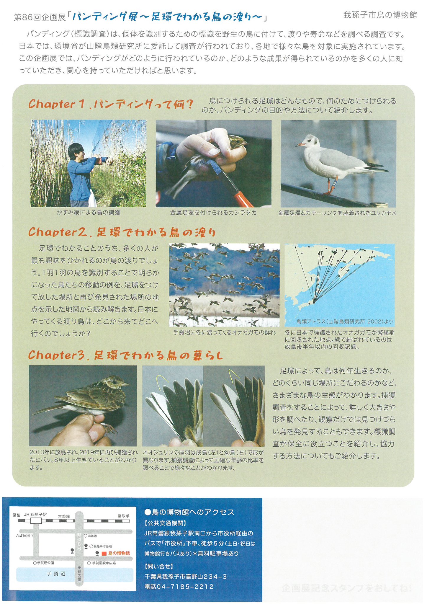 我孫子市鳥の博物館 第86回企画展 我孫子インフォメーションセンター アビシルベ Facebook