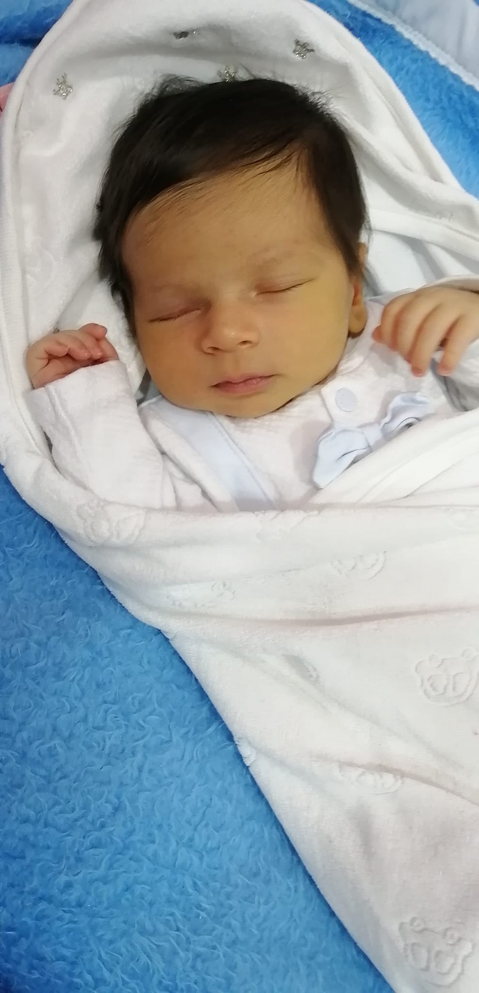 Dina Emad Roshdy
