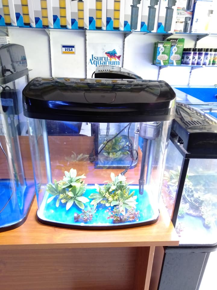 fish tank accessories in colombo Aqua Essentials - Nutri Base 5L - Soil Substrate For Aquarium Plants - Aquarium Soil Substrate for Fish tank Rs 380A Size