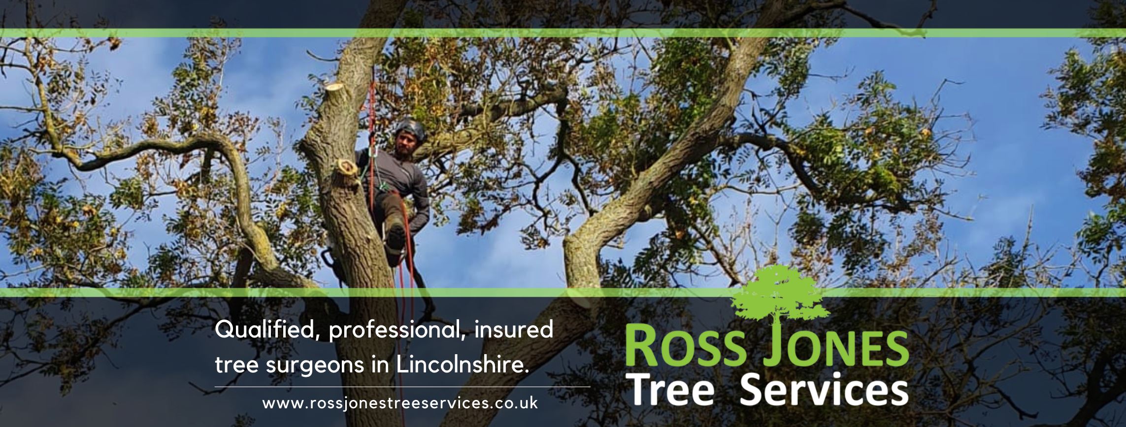 Ross Jones Tree Services Ltd
