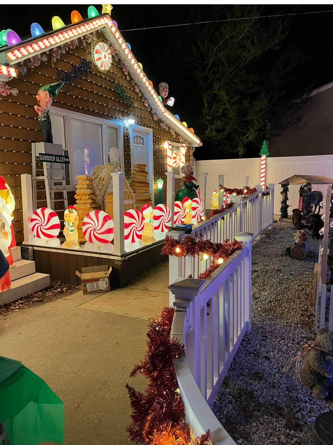 Best HD Pictures about  The Ronkonkoma Gingerbread House  with No AI Images
