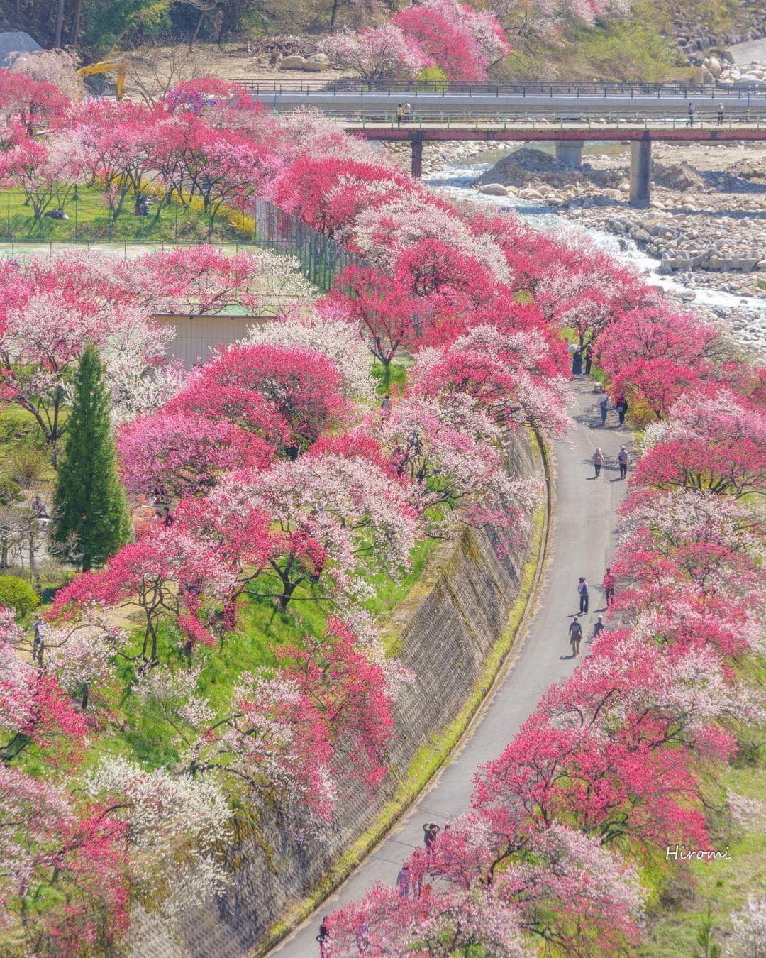 Located in Nagano, Hanamomo-no-Sato beckons with its captivating