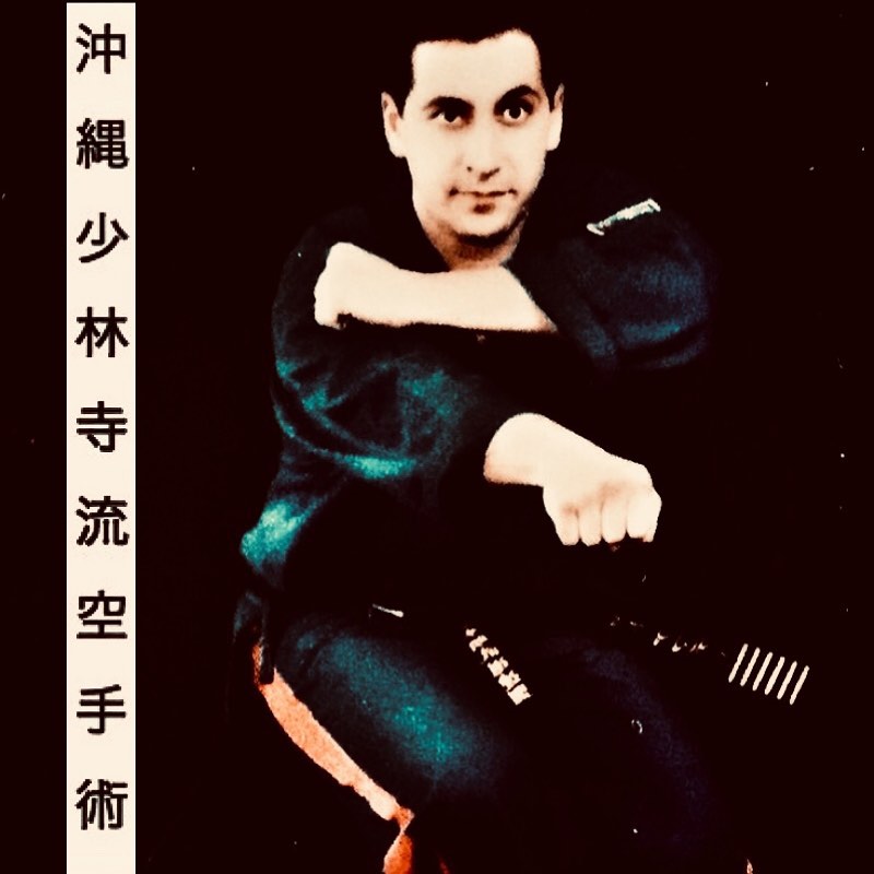 Ryūkyū Martial Arts Society - International